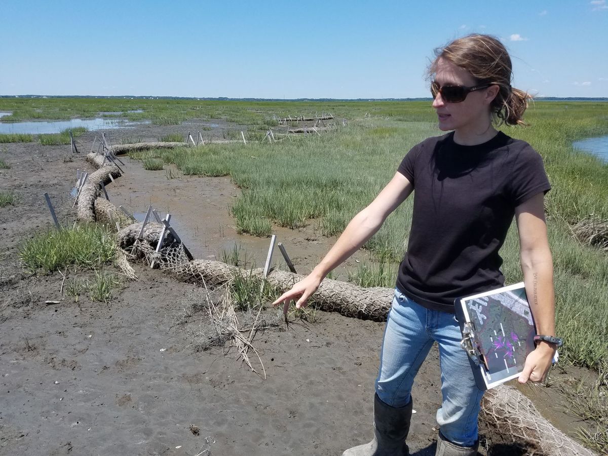 Greenvest LLC Marsh projects