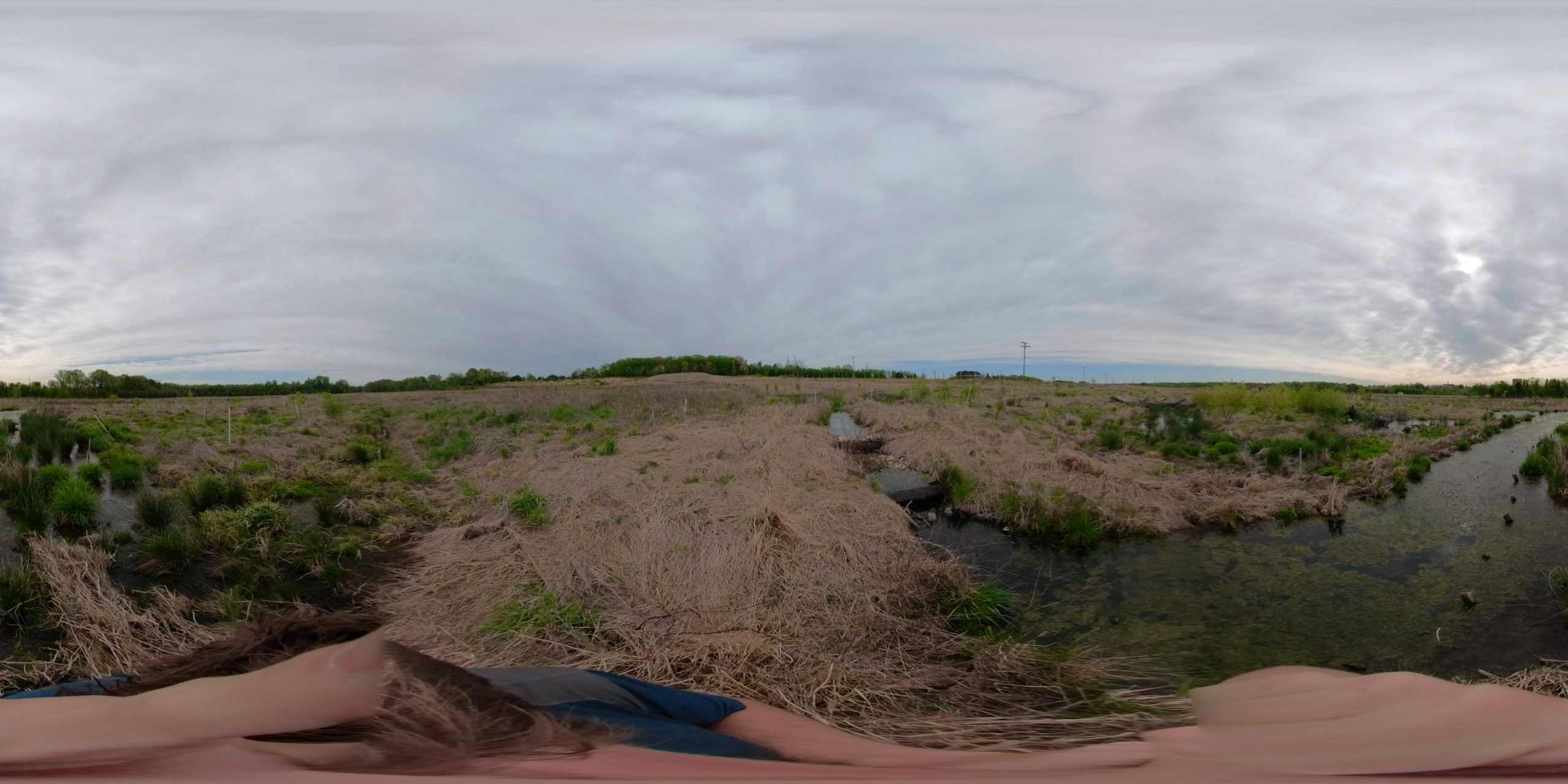 Greenvest LLC Ecosystem Restoration USDA Beltsville Agriculture Research Center