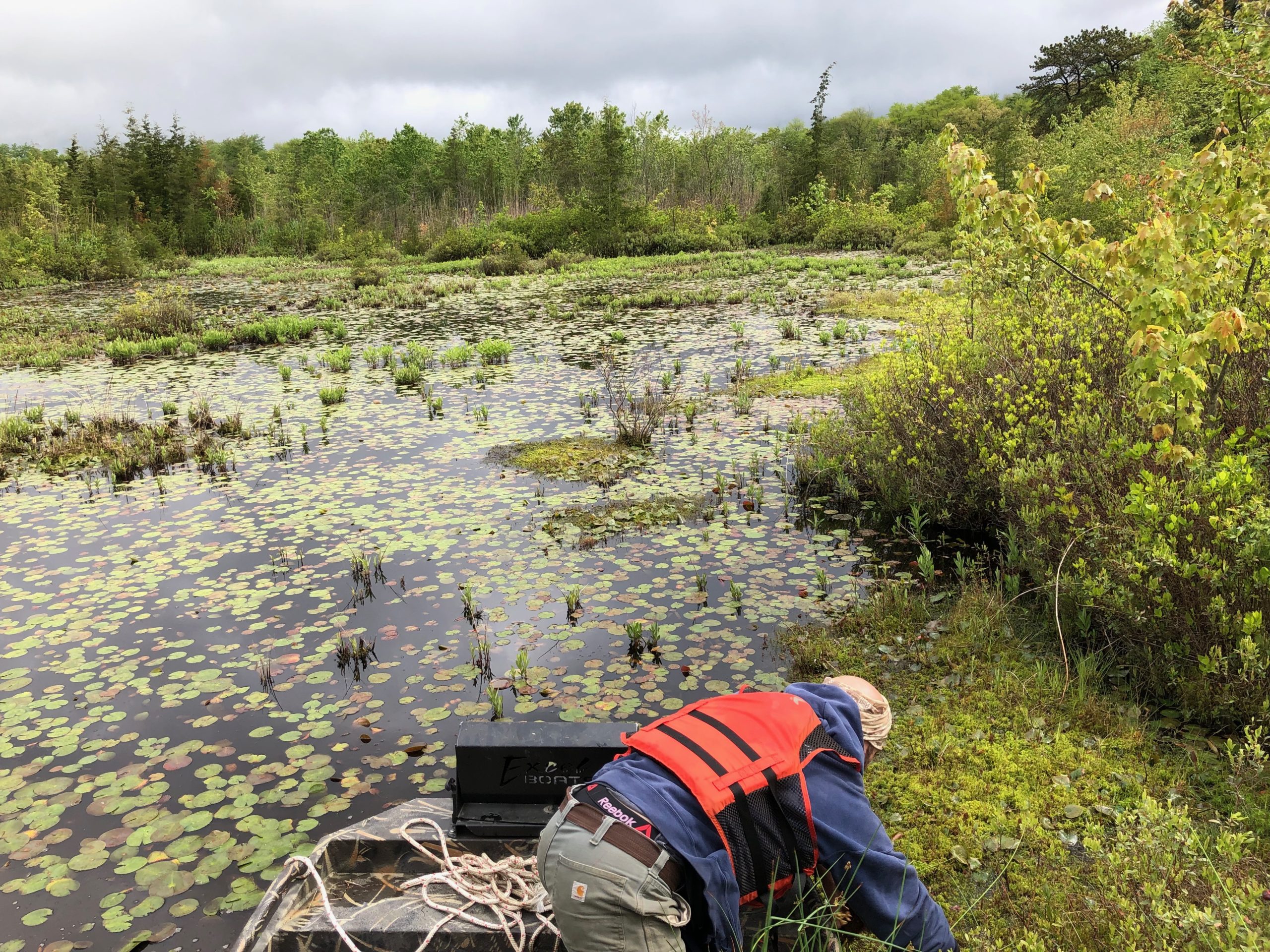 Greenvest LLC Ecosystem Restoration