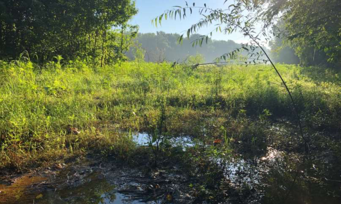 Greenvest LLC Ecosystem Restoration Southard Wetland Mitigation
