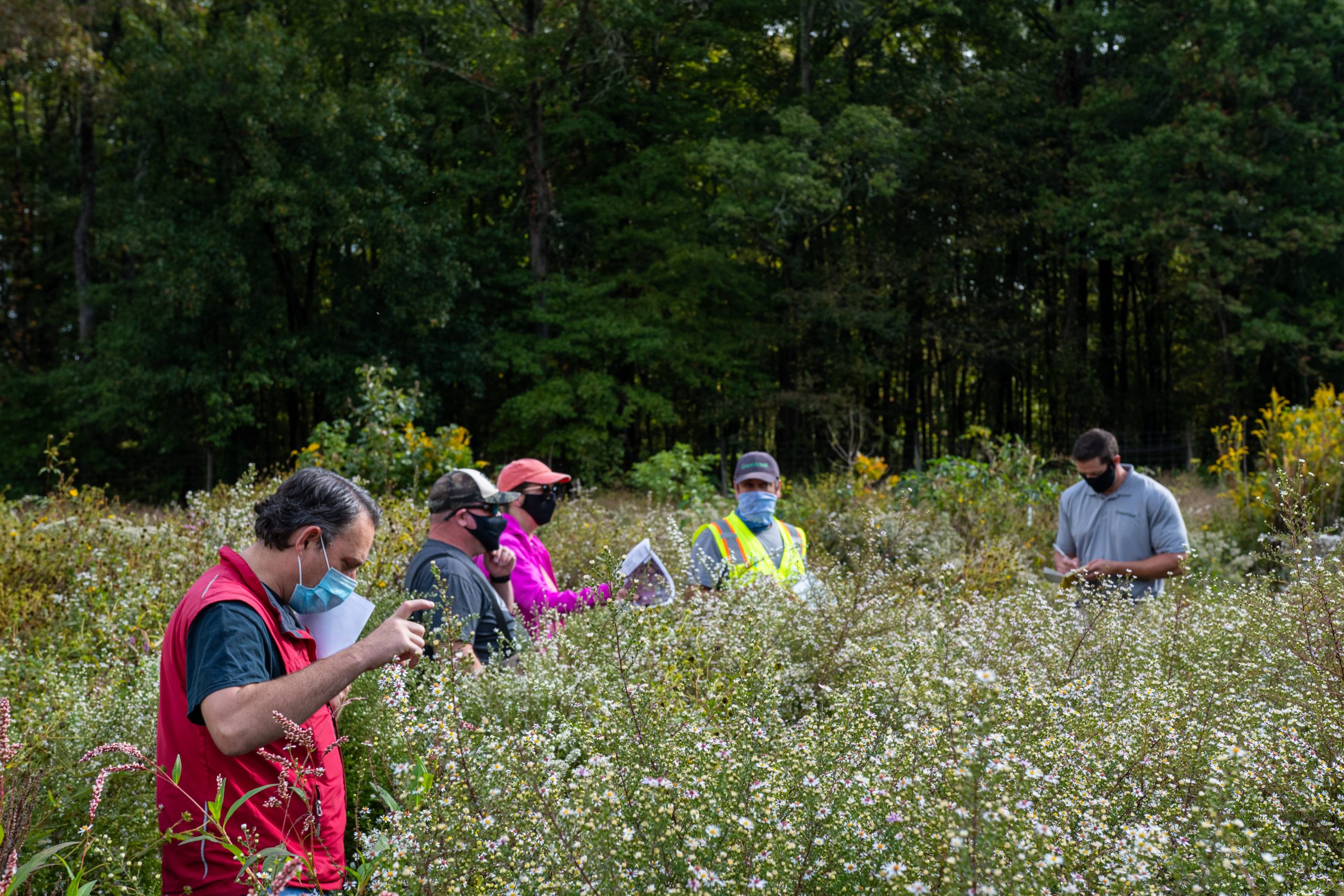 New Opportunities & Projects Awarded - GreenVest LLC 2020 Retrospective