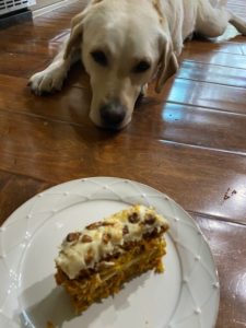 Greenvest LLC stream restoration Doug Lashley cake and dog