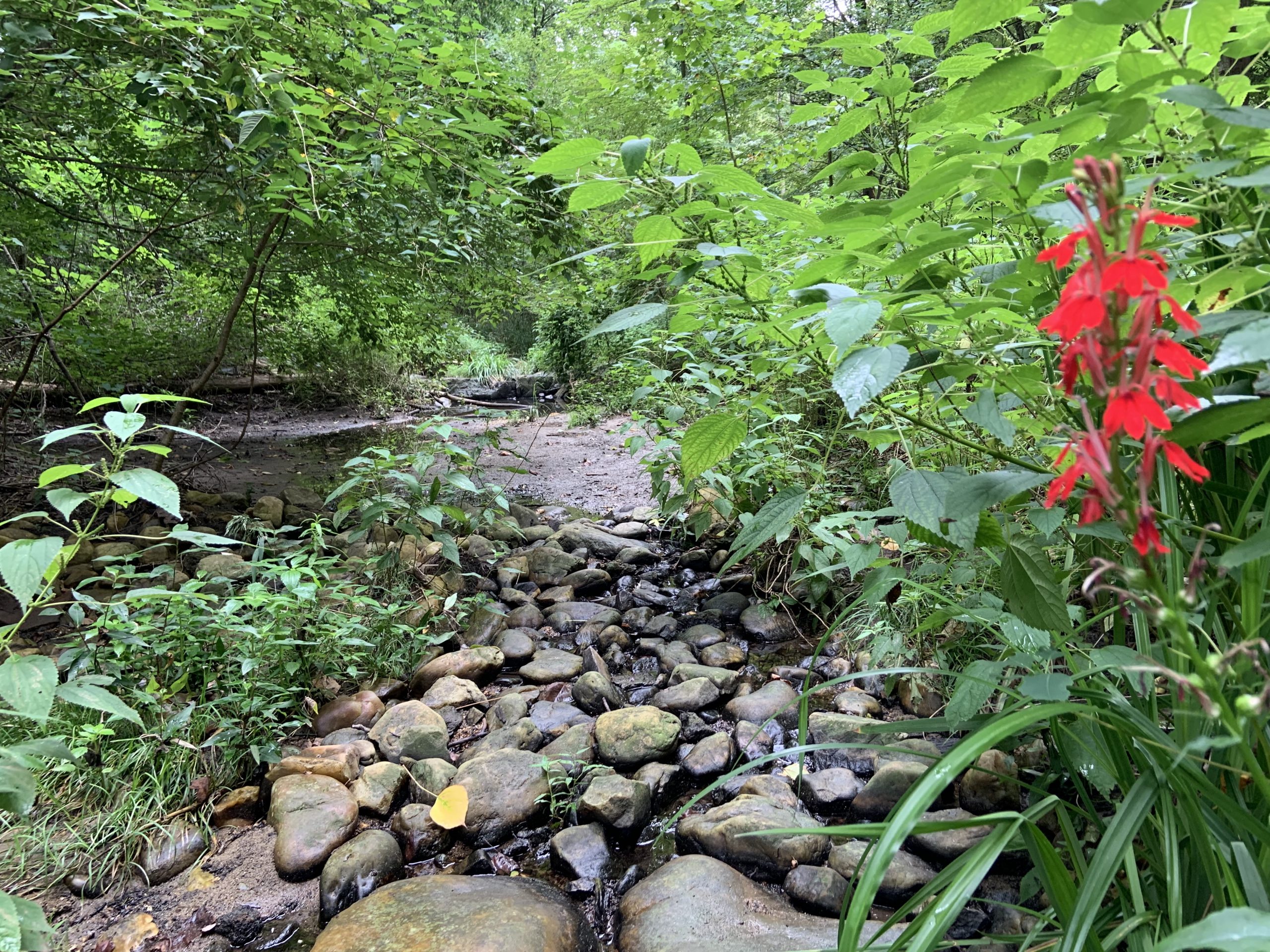 Greenvest LLC Stream Restoration Series - White Paper