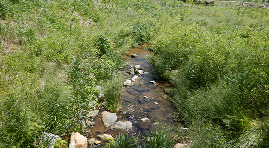Long Green stream project