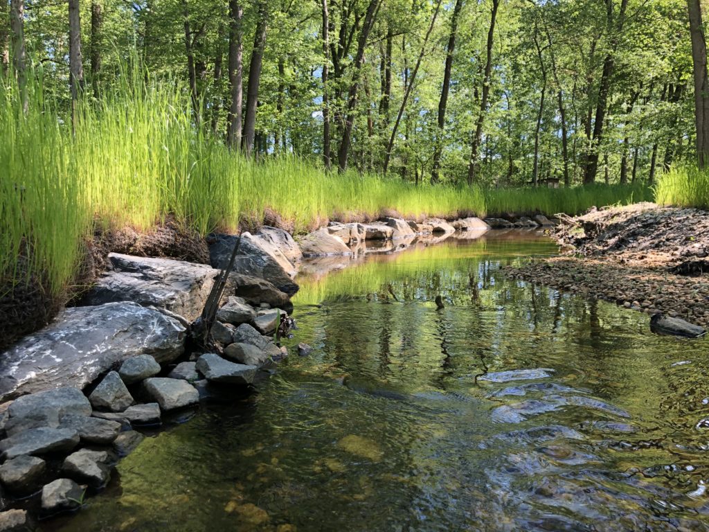 Tinker's Creek Stream Restoration Project