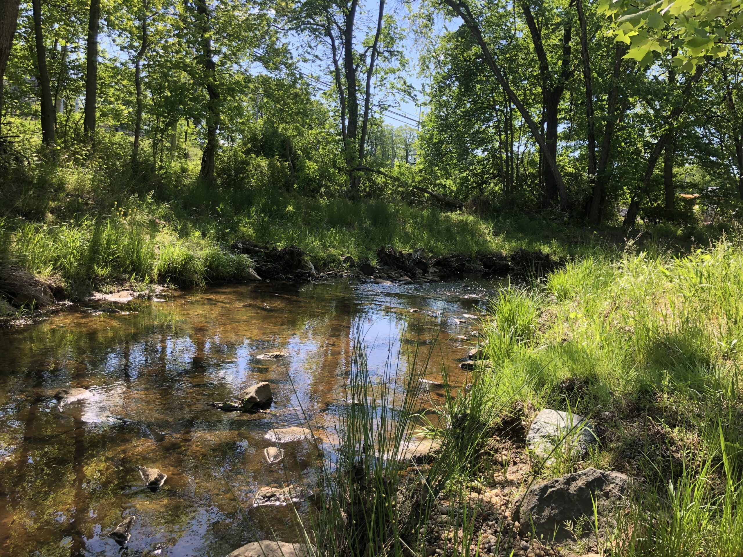 Tinkers Creek Stream, post restoration