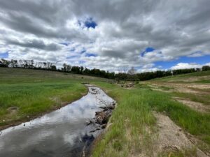 Waynesboro Stream Restoration Project