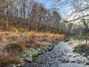 Muddy Creek Stream Restoration Project