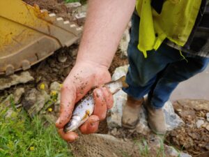 Relocating Native Brook Trout