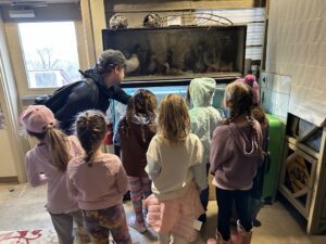 Learning About Local Wildlife